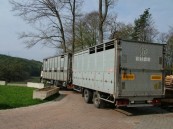 LKW MAN mit Anhänger